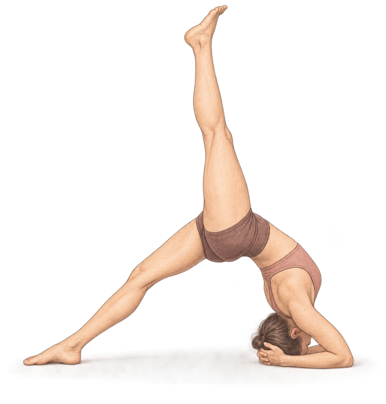 Eka Pada Viparita Dandasana, bâton inversé sur une jambe