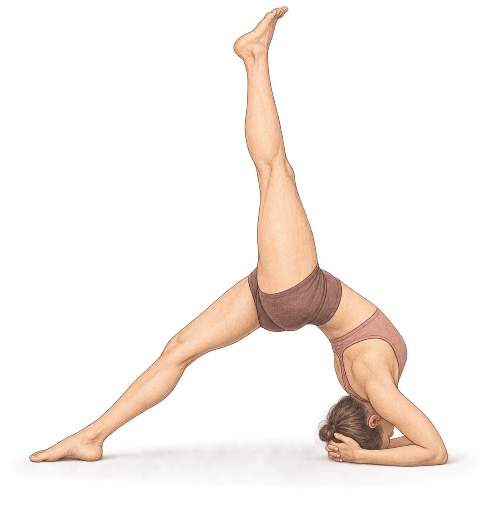 Eka Pada Viparita Dandasana, bâton inversé sur une jambe