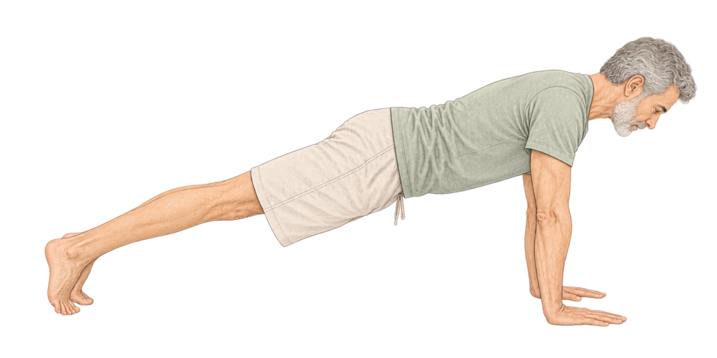 Phalakasana, posture de la planche en yoga