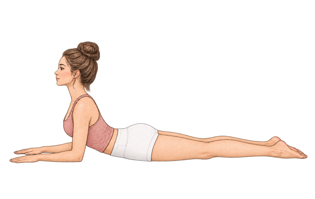 Salamba Bhujangasana, posture du sphinx en yoga