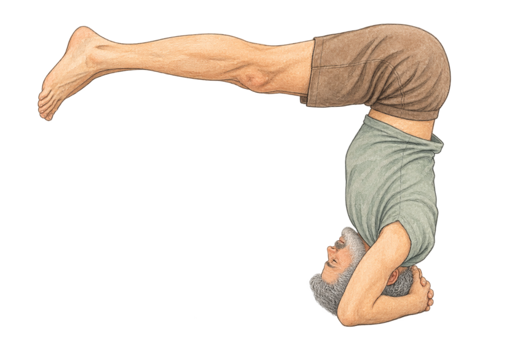Urdhva Dandasana, bâton en inversion